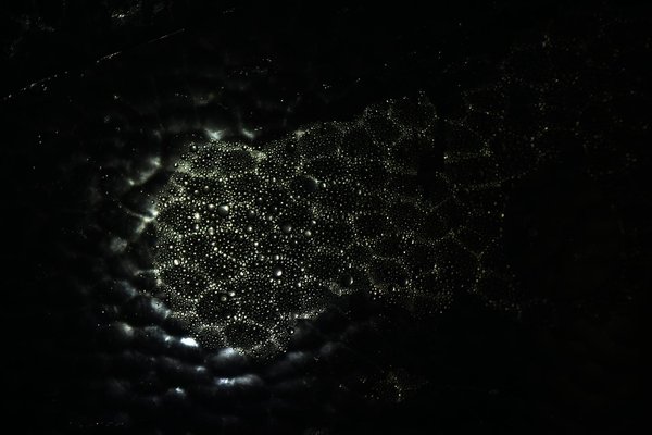 Quels accessoires sont essentiels pour un photographe artistique?